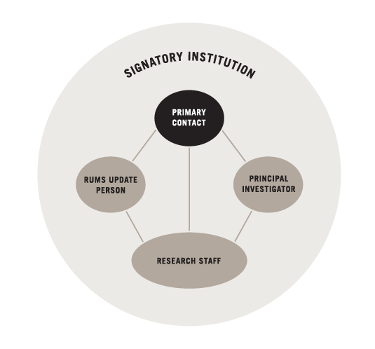 Defining CIRB Roles graphic