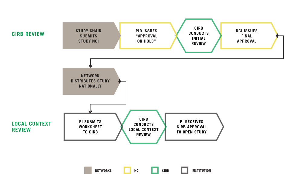 process of how a study is reviewed